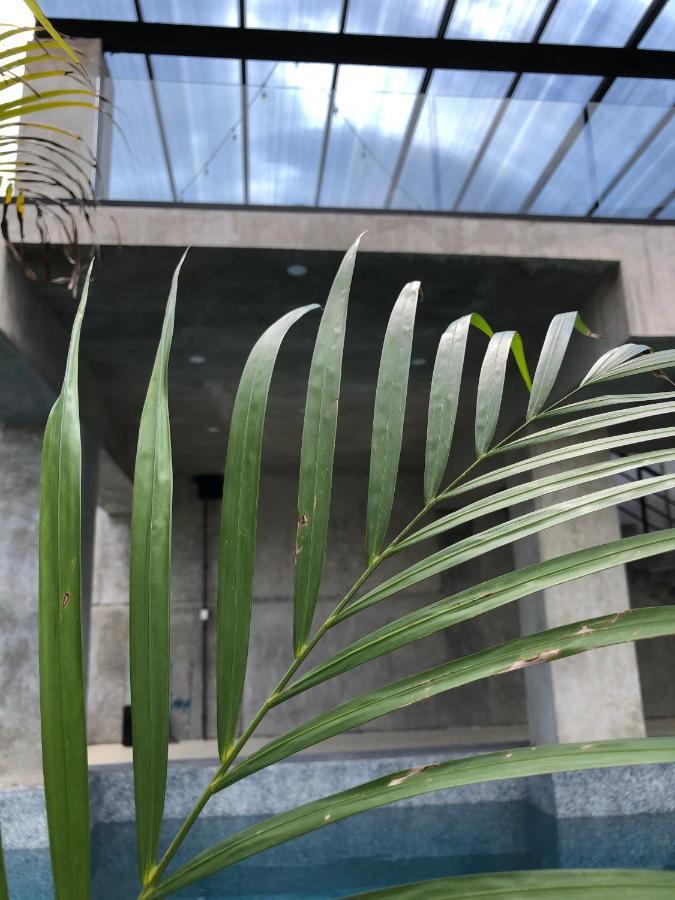 Hotel Suites La Negra Boutique Mérida Zewnętrze zdjęcie